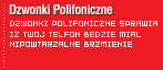 Dzwonki Polifoniczne